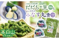 令和7年産　朝採りだだちゃ豆（本白山）700gと小なす丸漬240g（120g×2）セット