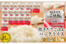 【訳あり】 数量限定 パックライス 炊きたてごはん たっぷり 200g × 48食セット｜米 お米 コメ ライス ごはん ご飯パック ごはんパック ご飯 白飯 白米  パック パックごはん パックご飯