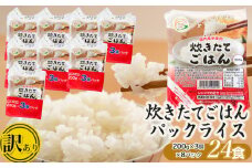 【訳あり】 数量限定 パックライス 炊きたてごはん たっぷり 200g × 24食セット｜米 お米 コメ ライス ごはん ご飯パック ごはんパック ご飯 白飯 白米  パック パックごはん パックご飯