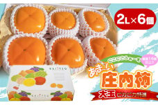 【令和7年産先行予約】にこにこふぁーむのあまーい庄内柿　大玉ピカピカ特選　2L×6個（化粧箱入り）　糖度16度以上　K-738