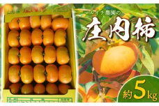 【令和7年産先行予約】庄内柿 Mサイズ以上 5kg マルイチ農園