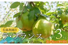 【令和7年産先行予約】 ラ・フランス 2L～3L 約3kg（8～10玉）山形県鶴岡市産　佐藤農園
