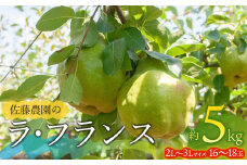 【令和7年産先行予約】 ラ・フランス 2L～3L 約5kg(16～18玉)　山形県鶴岡市産 佐藤農園