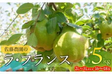 【令和7年産先行予約】 ラ・フランス 2L～3L 約5kg(16～18玉)　山形県鶴岡市産 佐藤農園