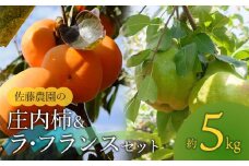 【令和7年産先行予約】庄内柿＆ラ・フランス 2L～3L玉 約5kg 山形県鶴岡市産　佐藤農園