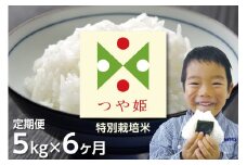 【定期便】【令和6年産】つや姫 (特別栽培米)  5kg×6ヶ月　うまい庄内