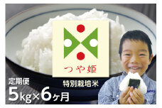 【定期便】【令和6年産】つや姫 (特別栽培米)  5kg×6ヶ月　うまい庄内