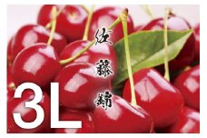 【令和7年産先行予約】《訳あり》さくらんぼ 佐藤錦 大粒3Lサイズ！バラ詰め500g うまい庄内
