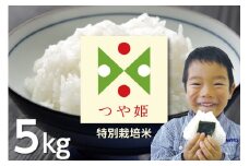 【令和6年産】つや姫 (特別栽培米) 5kg×1袋　うまい庄内