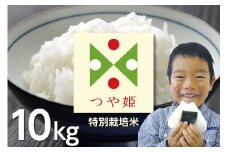 【令和6年産】つや姫 (特別栽培米) 10kg　うまい庄内