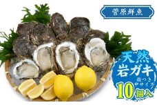 【令和7年 予約販売】天然岩ガキ 10個入り (岩ガキ専用ナイフ付き)　庄内観光物産館