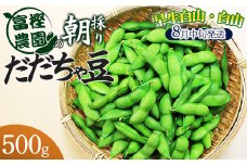 【令和7年産先行予約】 富樫農園の朝採りだだちゃ豆【8月中旬発送】500g 早生白山・白山　K-712