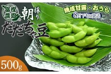 【令和7年産先行予約】 富樫農園の朝採りだだちゃ豆【8月下旬発送】500g 晩生甘露・おうら　K-712