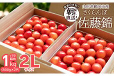 【令和7年産先行予約】 鶴岡市産 佐藤錦 2Lサイズ バラ詰め 1kg(500g×2P) さくらんぼ　大膳農園