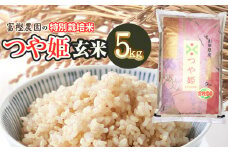 【令和7年産先行予約】 富樫農園の特別栽培米つや姫 玄米5kg 山形県鶴岡市産　富樫農園　K-732