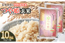 【令和7年産先行予約】 富樫農園の特別栽培米つや姫 玄米10kg(5kg×2袋)　山形県鶴岡市産　K-761