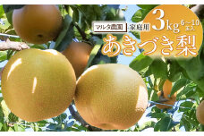 【令和7年産】家庭用　和梨 あきづき 3kg（6～10玉）　マルタ農園