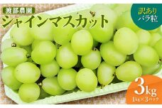 【令和7年産先行予約】 訳あり バラ粒 シャインマスカット 3kg（1kg×3パック)　山形県鶴岡市　渡部農園