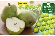 【令和7年産先行予約】ラ・フランス（洋梨） 約5kg(3Lサイズ16玉 又は 4Lサイズ14玉)　伊藤果樹園