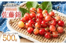 【令和8年産先行予約】さくらんぼ 佐藤錦 (Lサイズ以上) バラ詰め 500g　鈴木農園