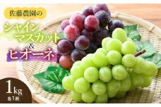 【令和7年産先行予約】 シャインマスカット・ピオーネ (各1房ずつ) 約1kg　佐藤農園