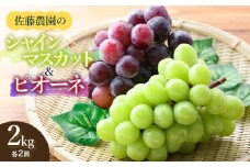 【令和7年産先行予約】 シャインマスカット・ピオーネ (各2房ずつ) 約2kg　佐藤農園