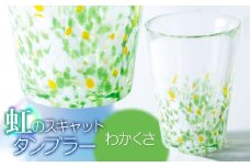 虹のスキャット【わかくさ】タンブラー　松ヶ岡ガラス工業