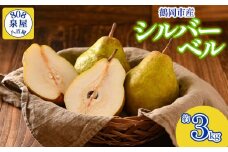 【令和7年産先行予約】鶴岡市産 シルバーベル（洋梨） 約3kg　K-715　泉屋商店