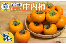 【令和7年産先行予約】鶴岡市産 庄内柿（平核無柿） 約5kg　K-722