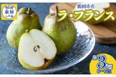 【令和7年産先行予約】鶴岡市産 ラ・フランス（洋梨） 約3kg（8～12玉）　K-717