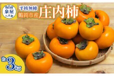 【令和7年産先行予約】鶴岡市産 庄内柿（平核無柿） 約3kg　K-714