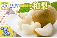 【令和7年産先行予約】鶴岡市産 和梨（品種おまかせ）幸水・豊水のどちらか1種 約5kg　K-735