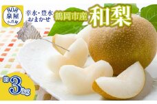 【令和7年産先行予約】鶴岡市産 和梨（品種おまかせ）幸水・豊水のどちらか1種 約3kg　K-722