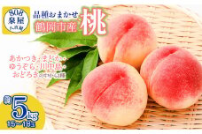 【令和7年産先行予約】鶴岡市産 桃（品種おまかせ）あかつき・まどか・ゆうぞら・川中島・おどろきの中から1種 約5kg（15～18玉）　K-755