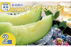 【令和7年産先行予約】泉屋商店の庄内砂丘アンデスメロン 2玉　K-717