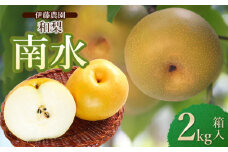 【令和7年産先行予約】 南水(和梨) 2kg箱入り (7～9個入り) 山形県鶴岡市 伊藤農園