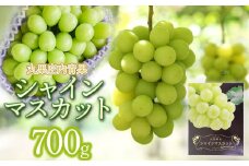 【令和7年産先行予約】シャインマスカット 約0.7kg 丸果庄内青果