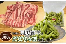 【令和7年産先行予約】お試し羽黒緬羊300gとだだちゃ豆のセット　肉バルYAKU禄