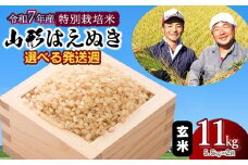 【令和7年産先行予約・発送時期12/8～12/14】特別栽培米 山形はえぬき玄米11kg(5.5kg×2袋)　山形県鶴岡市産　鶴岡ファーマーズ