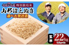 【令和7年産先行予約・発送時期11/17～11/23】特別栽培米 山形はえぬき 玄米 22kg(5.5kg×4袋)　山形県鶴岡市産　鶴岡ファーマーズ