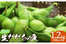 【令和7年産先行予約】【8/25～8/31発送】 朝採り生だだちゃ豆 1.2kg(600g×2袋) 山形県鶴岡市産　鶴岡ファーマーズ