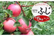 【令和7年産先行予約】鶴岡市産りんご ふじ 約5kg（14～18玉）　インフィニファーム　K-739