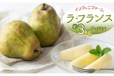 【令和7年産先行予約】鶴岡市産洋梨 ラ・フランス 約3kg（8～12玉）　インフィニファーム　K-728