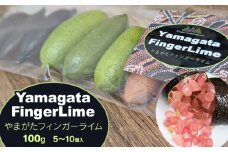 【令和7年産先行予約】フィンガーライム 100g（5～10個入）　アインテック株式会社