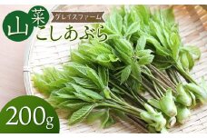 【令和8年発送】山菜　コシアブラ　200g　グレイスファーム