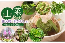 【令和8年発送】山菜セット和え物、おひたし用（4種以上）　野みつば、かたくりの花、水ふきなど　計500g以上　グレイスファーム