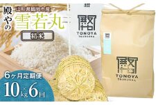 【令和7年産先行予約】【定期便6ヶ月】殿やの「雪若丸」精米 10kg(10kg×1袋)×6ヶ月 山形県鶴岡市産　K-775
