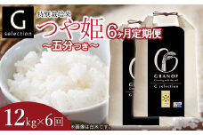 【令和7年産先行予約】【定期便6ヶ月】 特別栽培米 Gセレクション つや姫【五分つき】12kg (6kg×2袋)×6ヶ月 山形県鶴岡市産　株式会社グラノフ