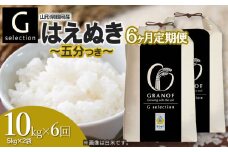 【令和7年産先行予約】【定期便6ヶ月】 Gセレクション はえぬき 五分つき 10kg (5kg×2袋)×6ヶ月 山形県鶴岡市産　株式会社グラノフ