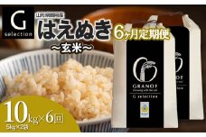 【令和7年産先行予約】【定期便6ヶ月】 Gセレクション はえぬき 玄米 10kg (5kg×2袋)×6ヶ月 山形県鶴岡市産　株式会社グラノフ